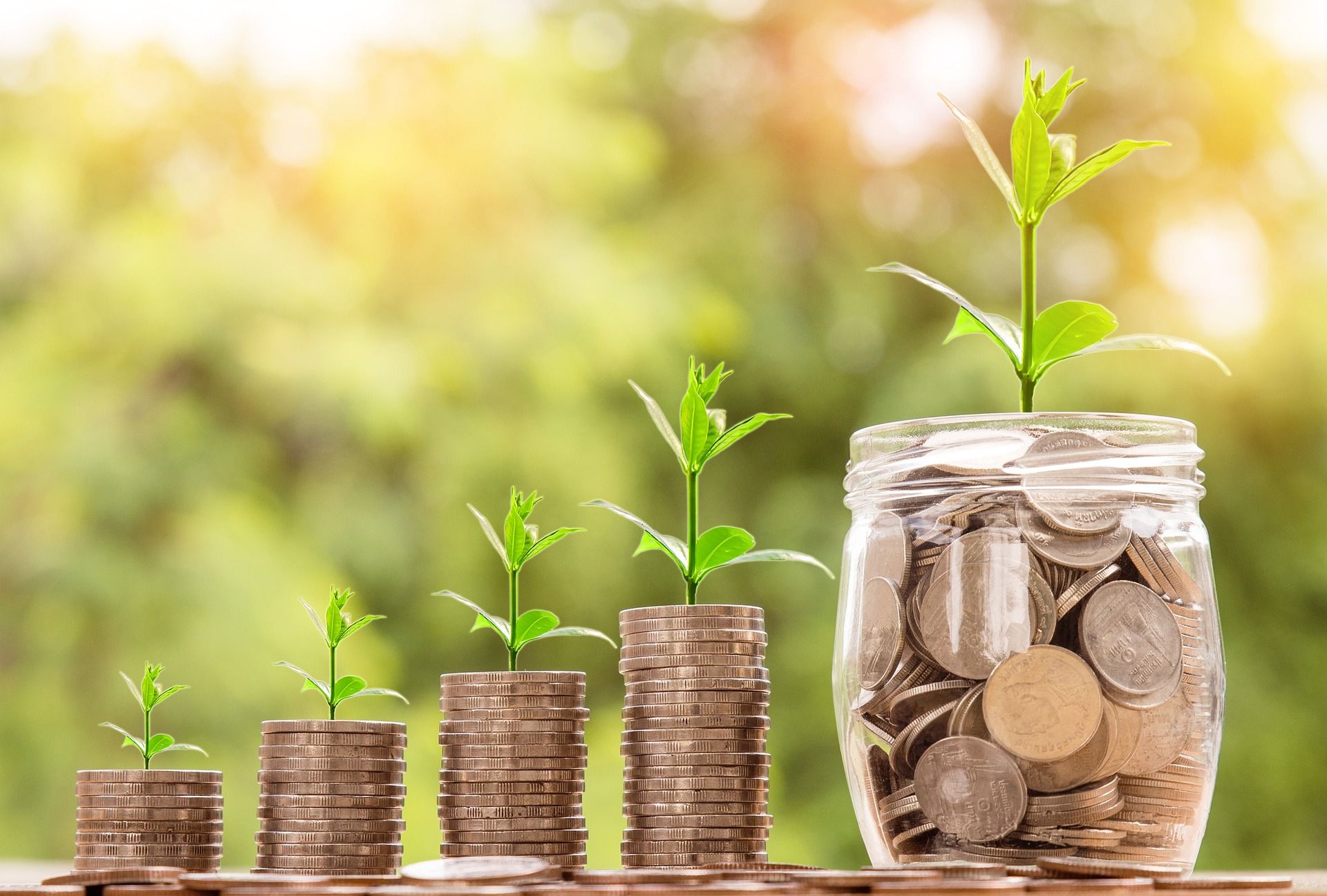 Coins in jars with plant growing